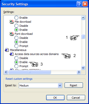 Internet Explorer Security Settings dialogue