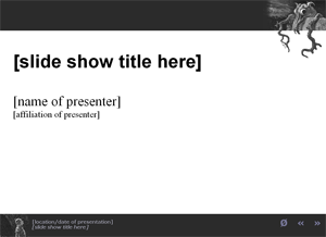 S5 Presentation using the theme 'Mitaine'